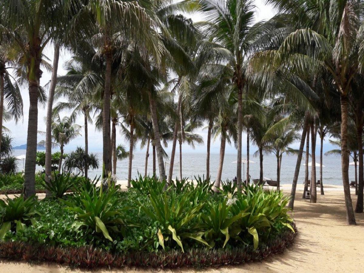 Miami Beach Hotel & Apartment Da Nang Eksteriør bilde